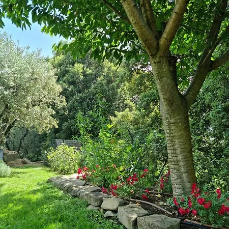 Le Ginestre *