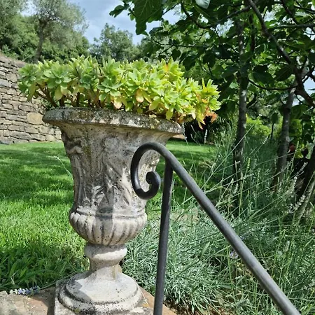 Le Ginestre