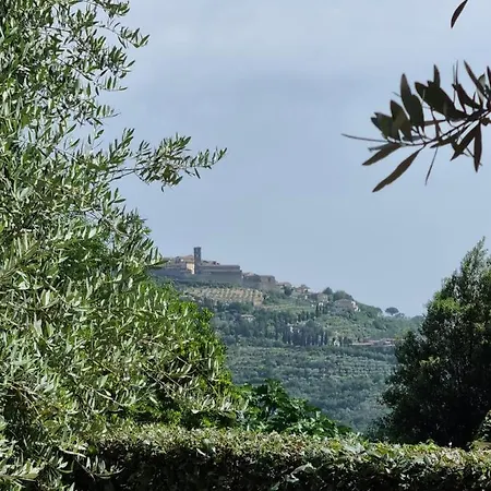 Le Ginestre *